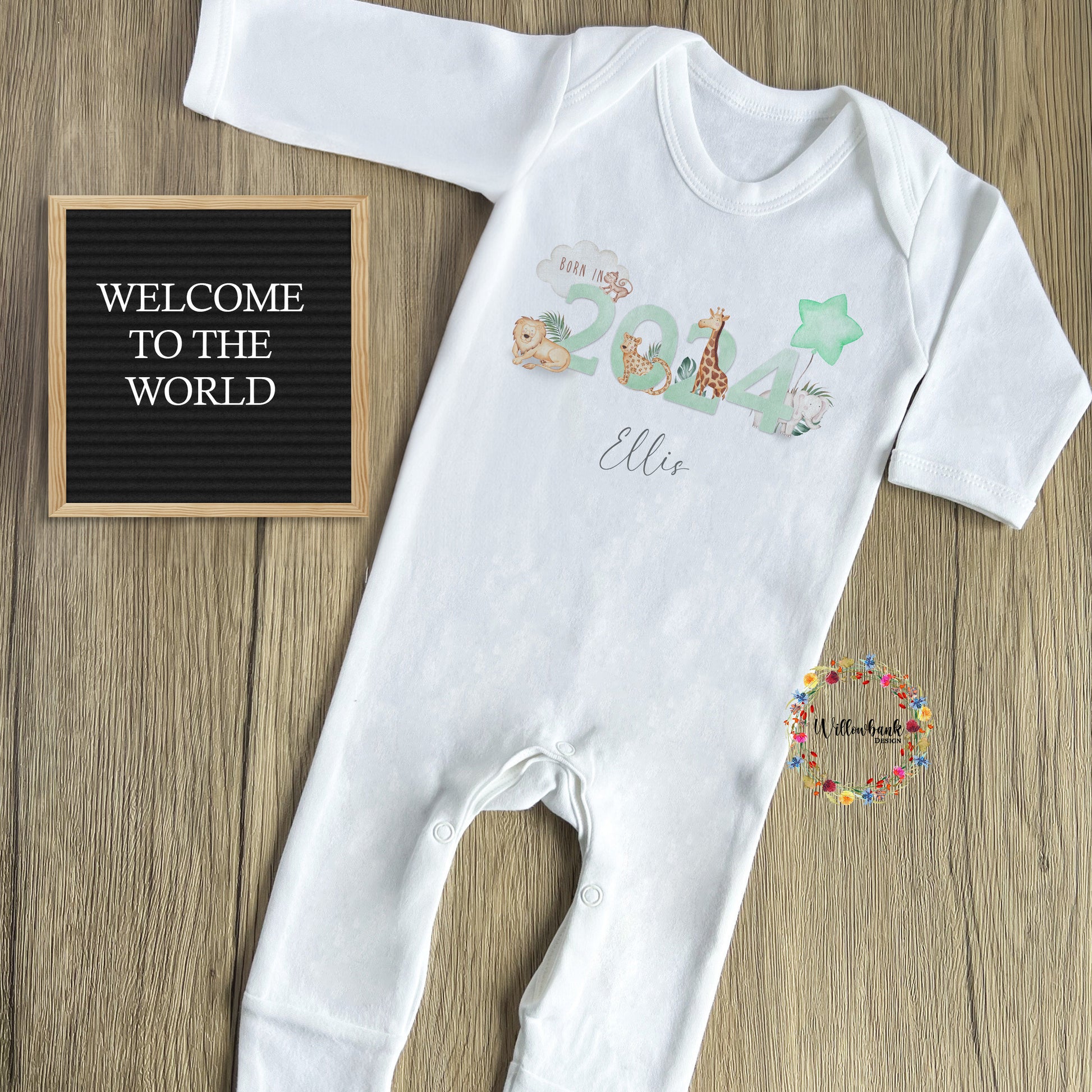 Born In 2024 Onesie