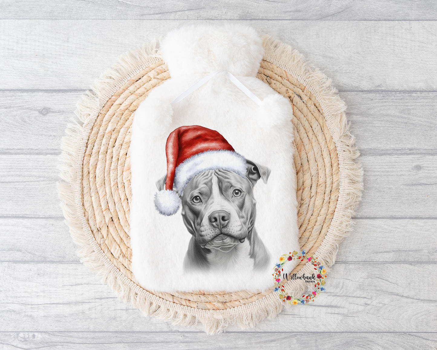 Pitbul
