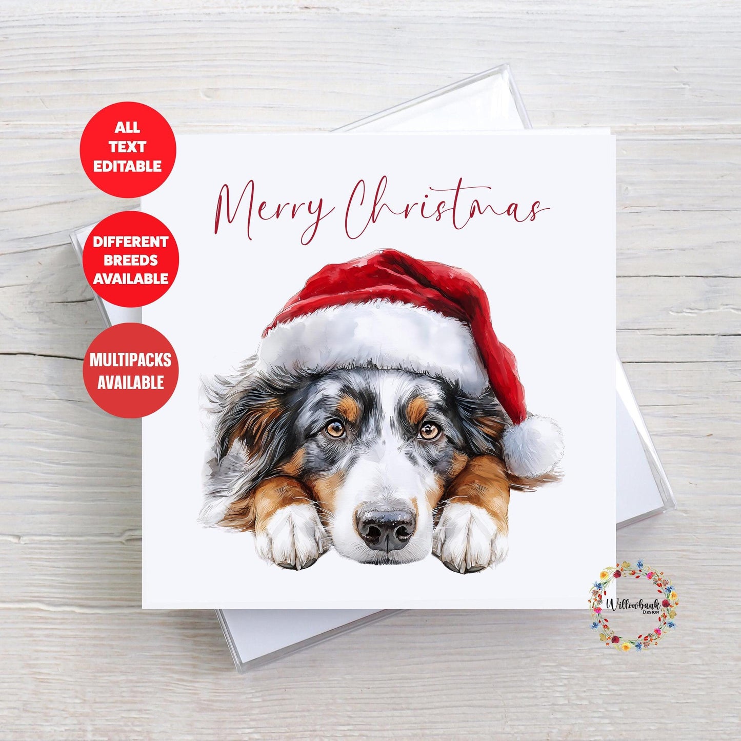 Border Collie Christmas Card l Dog Lover Festive Card l Santa Dogs