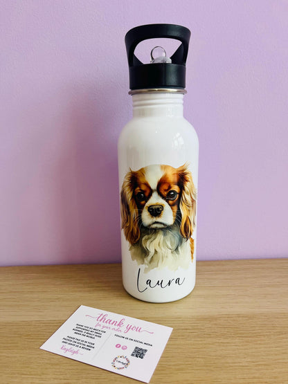 Cavalier King Charles Spaniel Drink Bottle