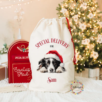 Custom Dog Christmas Santa Sack l Personalised Christmas Sack l Xmas Bags