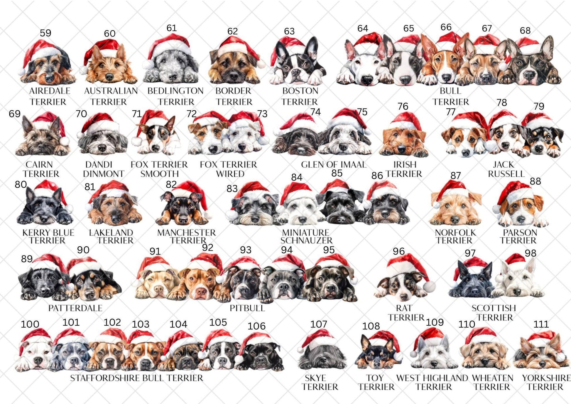 Border Collie Christmas Card l Dog Lover Festive Card l Santa Dogs