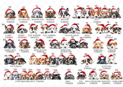 Border Collie Christmas Card l Dog Lover Festive Card l Santa Dogs