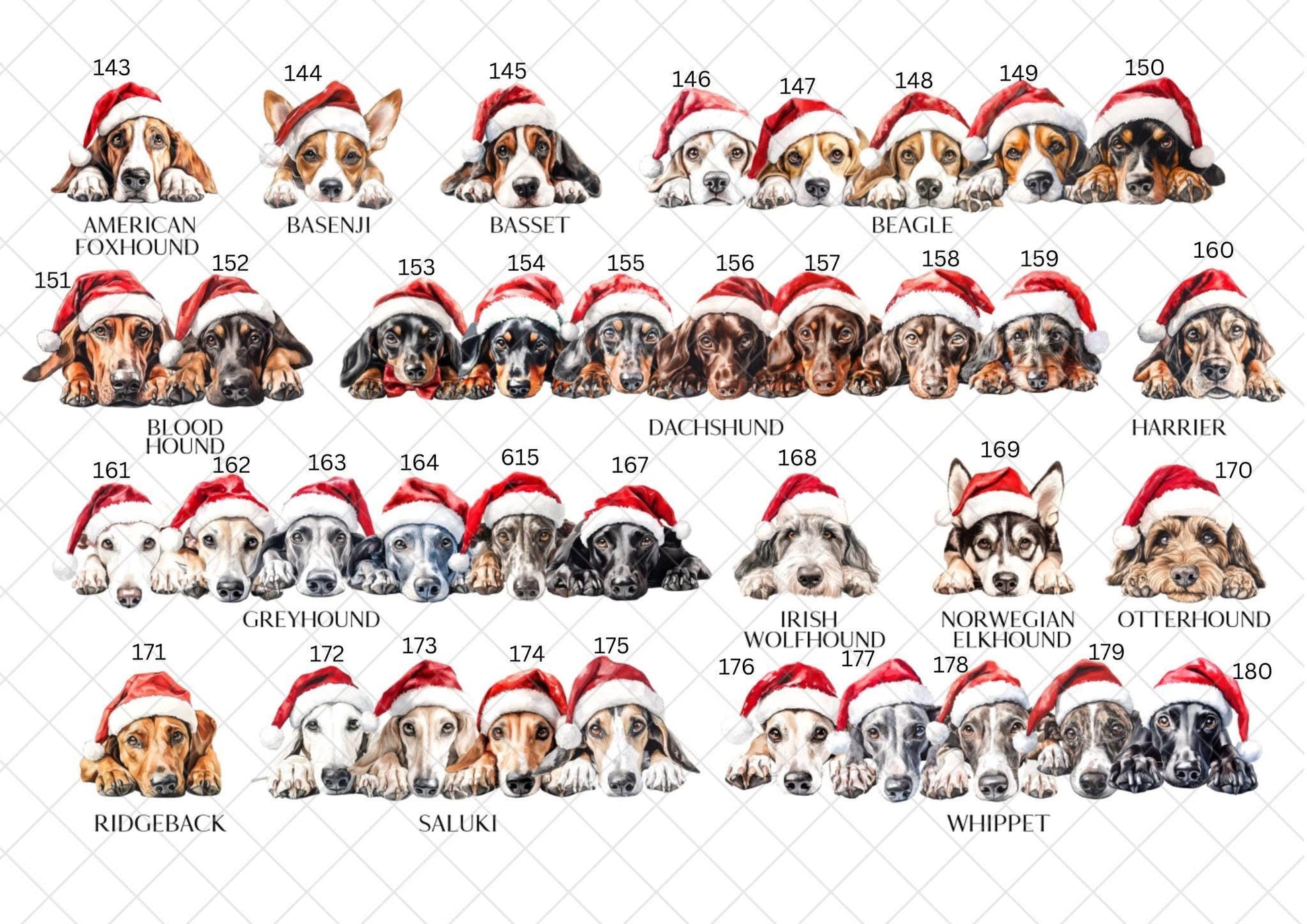 Border Collie Christmas Card l Dog Lover Festive Card l Santa Dogs
