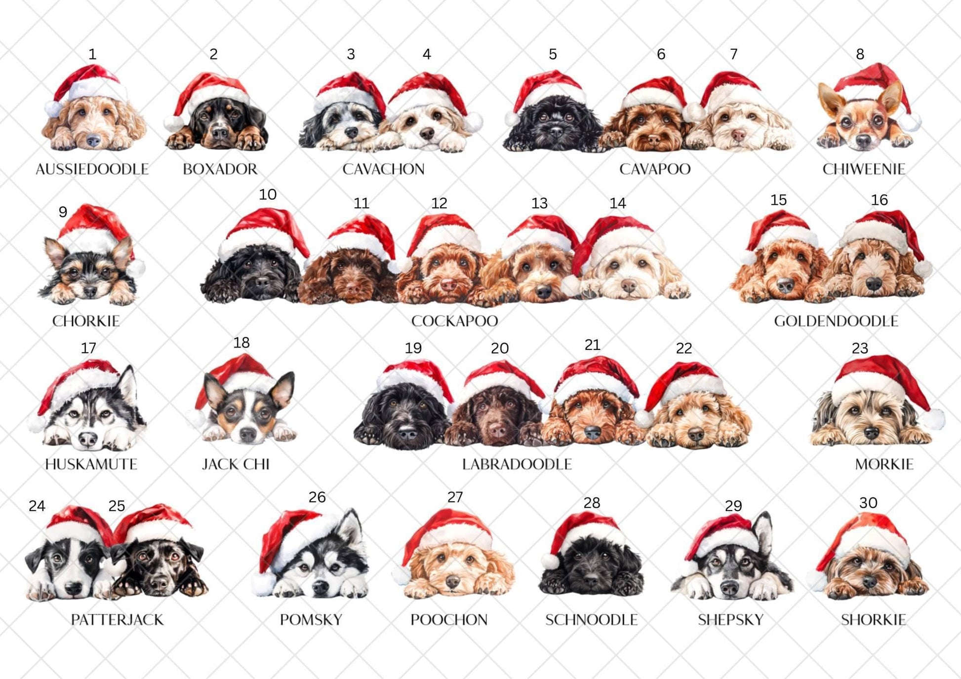 Border Collie Christmas Card l Dog Lover Festive Card l Santa Dogs