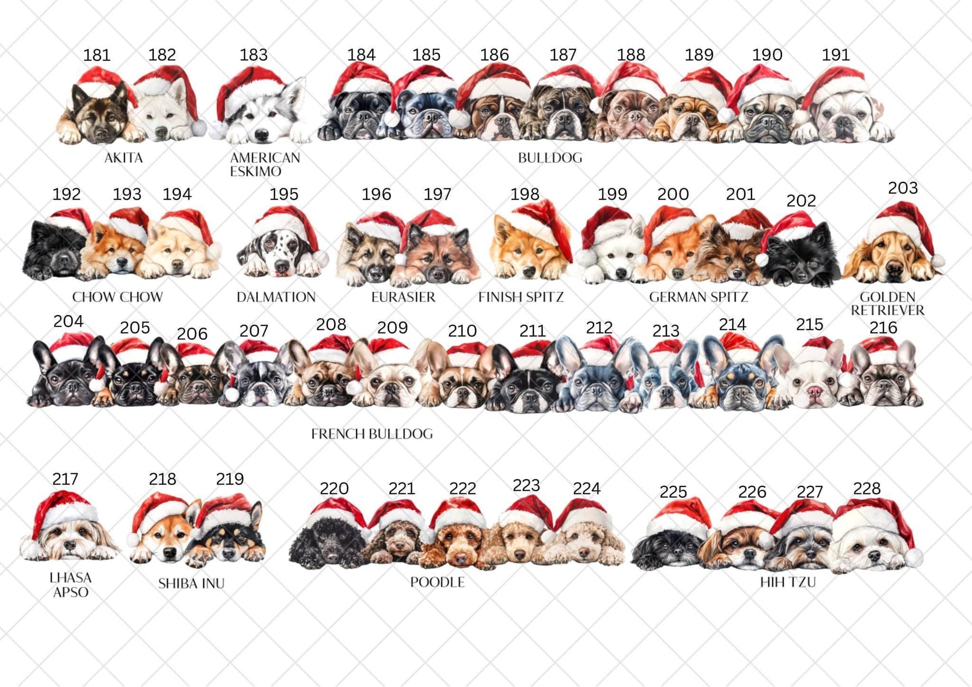 Border Collie Christmas Card l Dog Lover Festive Card l Santa Dogs