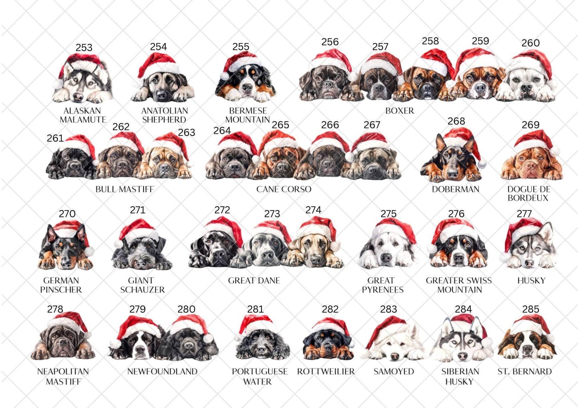 Border Collie Christmas Card l Dog Lover Festive Card l Santa Dogs