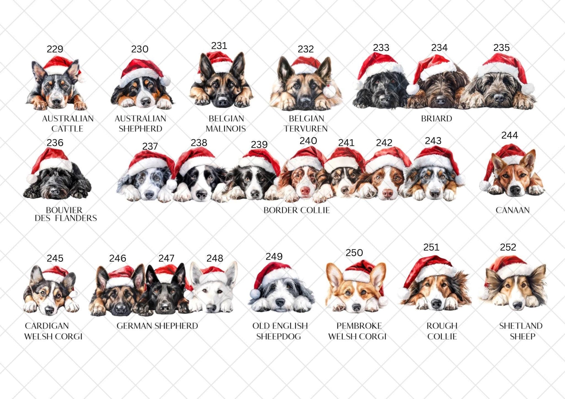 Bassett Hound Christmas Card l Dog Lover Festive Card l Santa Dogs