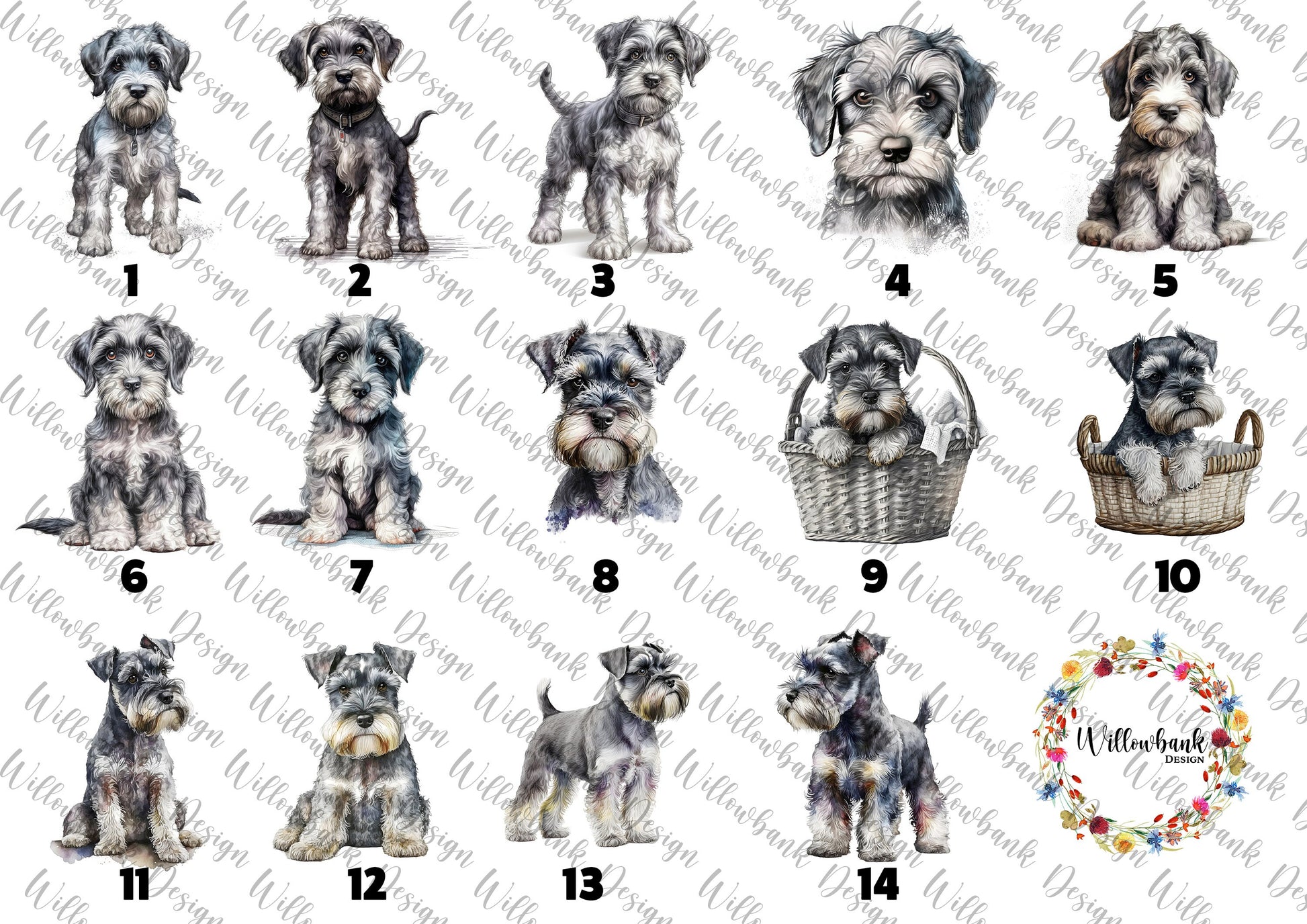 Personalised Miniature Schnauzer Cushion l Dog Lover Gift l Puppy Gift